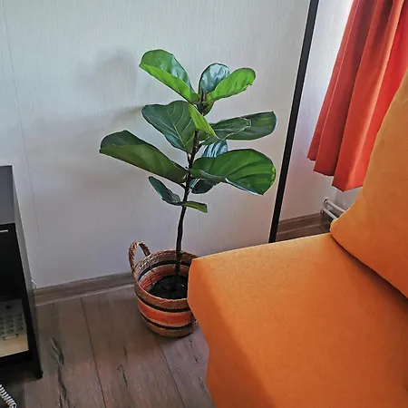 Private In Snezhanka *
