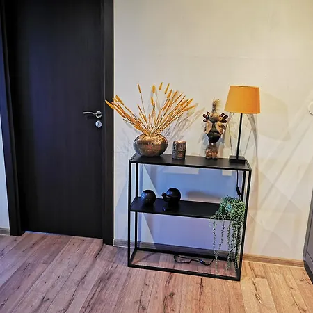 Private In Snezhanka פמפורובו